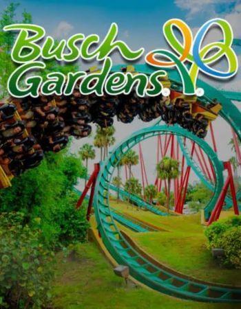 Montaña rusa de Busch Gardens Tampa, servicios de vacaciones en Orlando y Tampa, incluyendo entradas y transporte al parque.